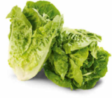 Angebot im Netto Marken-Discount Lörrach Prospekt Netto Marken-Discount Lörrach Prospekt mit im Angebot fĂŒr 0,65 âŹ
