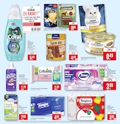 Aktueller Marktkauf Prospekt mit Katzenfutter, "Aktuelle Angebote", Seite 25