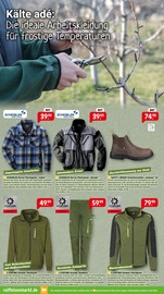 Aktueller Raiffeisenmarkt Prospekt mit Arbeitskleidung, "Richtig durchstarten: Mit den richtigen Angeboten ins neue Jahr.", Seite 6