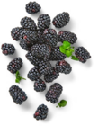 Brombeeren von Driscoll's für 2,49 € bei Kaufland im Angebot Brombeeren von Driscoll's im aktuellen Kaufland Prospekt