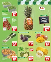 Aktueller famila Nordost Prospekt mit Mango, "besser als gut!", Seite 4