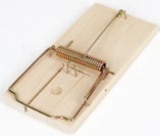 XL-Mausefalle im aktuellen Thomas Philipps Prospekt