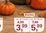 Kürbis im Angebot bei Garten-Center Nordharz GmbH & Co. KG in Hannover Kürbis Angebote bei Garten-Center Nordharz GmbH & Co. KG Hannover für 3,99 €