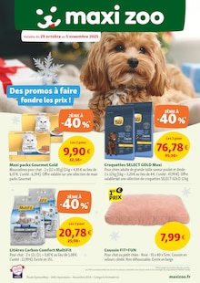 Promo Coussin Chat dans le catalogue Maxi Zoo du moment à la page 1