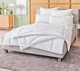 Aktuelle Kopfkissen Angebote bei Segmüller in Darmstadt Aktuelles Ganzjahresbett Gabriella Angebot bei Segmüller in Darmstadt ab 19,99 €