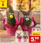 Aktuelles Heidewichtel Angebot bei Netto Marken-Discount in Freiburg (Breisgau) ab 5,99 €