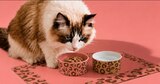 GAMELLE IMPRIMÉ LEOPARD POUR CHIEN OU CHAT TRUF&CO - TRUF'&CO - Auchan Supermarché à Aulnay-sous-Bois GAMELLE IMPRIMÉ LEOPARD POUR CHIEN OU CHAT TRUF&CO - TRUF'&CO en promo chez Auchan Supermarché Aulnay-sous-Bois à 2,49 €
