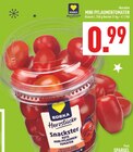 Aktuelle Tomaten Angebote bei Marktkauf in Bochum Aktuelles Mini Pflaumentomaten Angebot bei Marktkauf in Bochum ab 0,99 €