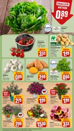 Kartoffeln im REWE Prospekt in Straubing Aktueller REWE Prospekt mit Kartoffeln, "Dein Markt", Seite 7