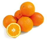 Orangen bei Netto mit dem Scottie im Prospekt "" für 1,99 €