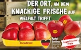 Äpfel Evelina im aktuellen Netto Marken-Discount Prospekt