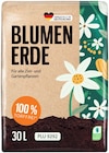 Blumenerde im Angebot bei REWE in Beckum Blumenerde Angebote bei REWE Beckum für 2,99 €