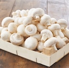 Champignon blanc dans le catalogue Netto