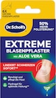 Blasenpflaster Extreme mit Aloe Vera im Angebot bei dm-drogerie markt in Bremen Blasenpflaster Extreme mit Aloe Vera Angebote von Scholl bei dm-drogerie markt Bremen für 5,45 €