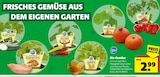 Balkon-Zucchini oder Bullhorn Chili oder Balkon-Hokkaido oder Cherry-Tomate oder Süßkartoffel oder Andenbeere im Angebot bei Hagebaumarkt in Gifhorn Balkon-Zucchini oder Bullhorn Chili oder Balkon-Hokkaido oder Cherry-Tomate oder Süßkartoffel oder Andenbeere Angebote von Blu bei Hagebaumarkt Gifhorn für 2,99 €