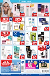 Düfte Angebot & Preis im aktuellen budni Prospekt Düfte Angebot im aktuellen budni Prospekt auf Seite 2