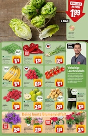 Ähnliche Angebote wie Saatgut im Prospekt "Dein Markt" auf Seite 7 von REWE in Brandenburg