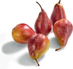 Aktuelle Obst Angebote bei Netto Marken-Discount in Berlin Aktuelles Birnen rot Angebot bei Netto Marken-Discount in Berlin ab 2,49 €