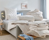 Aktuelles Kopfkissen Maila Angebot bei Sconto SB in Paderborn ab 19,95 €