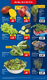Äpfel im Lidl Prospekt in Siegburg Aktueller Lidl Prospekt mit Äpfel, "LIDL LOHNT SICH", Seite 3