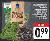 Sächsische Salatspezialitäten Lollo Rosso im Angebot bei EDEKA in Gera Sächsische Salatspezialitäten Lollo Rosso Angebote von EDEKA Heimatliebe bei EDEKA Gera für 0,99 €