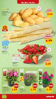Spargel im Penny Prospekt "Wer günstig will, muss Penny." mit 45 Seiten (Nürnberg)