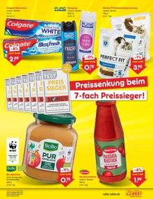 Katzenfutter im aktuellen Netto Marken-Discount Prospekt (Dresden) Katzenfutter im Netto Marken-Discount Prospekt "Aktuelle Angebote" mit 64 Seiten (Dresden)