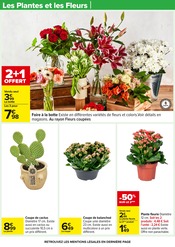 Plantes Angebote im Prospekt "Carrefour" von Carrefour Plantes Angebote im Prospekt "Carrefour" von Carrefour auf Seite 28