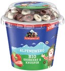 Aktuelle Joghurt Angebote bei Penny in Regensburg Aktuelles Bio-Alpenzwerg Angebot bei Penny in Regensburg ab 0,69 €