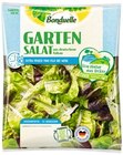 Gartensalat Angebote von Bonduelle bei REWE Siegburg für 1,79 €