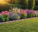 Aktuelles Lavendel Busch Angebot bei Netto Marken-Discount in Mannheim ab 4,99 €