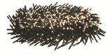 LED-Galaxie-/Lichterkette 1.000 LEDs Angebote von Livarno Home bei Lidl Freiburg