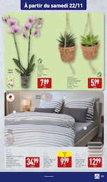 Prix et réduction Oreiller dans le prospectus Aldi en cours Offre Oreiller dans le catalogue Aldi du moment à la page 37