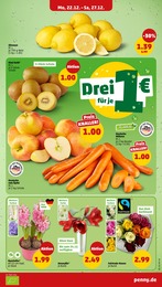 Garten Angebot im aktuellen Penny Prospekt auf Seite 7