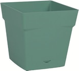Pot carré Toscane avec soucoupe clipsée réserve d'eau 17,4 cm - EDA en promo chez Intermarché Hyper Pot carré Toscane avec soucoupe clipsée réserve d'eau 17,4 cm - EDA dans le catalogue Intermarché Hyper