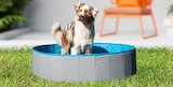 Hundespielzeug Plüschtier von ZooRoyal für 5,99 € bei REWE im Angebot Hundespielzeug Plüschtier von ZooRoyal im aktuellen REWE Prospekt