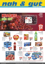 nah und gut Supermarkt Prospekt der aktuellen Woche mit 4 Seiten, gültig von 16.02.2026 bis 21.02.2026, in Flossenbürg und Umgebung Aktueller nah und gut Supermarkt Prospekt in Flossenbürg und Umgebung, "Wir lieben Lebensmittel!" mit 4 Seiten, 16.02.2026 - 21.02.2026