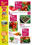 Plant De Tomates Plant De Tomates