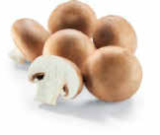 Champignon braun im Angebot bei Netto Marken-Discount in Rostock Champignon braun Angebote bei Netto Marken-Discount Rostock für 1,79 €