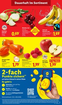 Paprika im aktuellen Lidl Prospekt (Offenbach (Main)) Paprika im Lidl Prospekt "LIDL LOHNT SICH" mit 70 Seiten (Offenbach (Main))