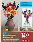 Klemmbausteine-Blumenstrauß von Toylino im aktuellen ALDI Nord Prospekt für 14,99 €