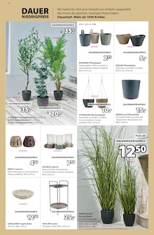 Blumentopf im JYSK Prospekt "Wir feiern Geburtstag! SPARE BIS ZU 60%" mit 25 Seiten (Essen)