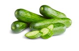 Penny - Mini-Gurke Angebot im Prospekt Mini-Gurke bei Penny im Prospekt "" für 0,35 €