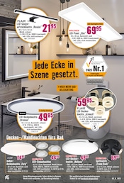 Aktueller Hornbach Prospekt mit Leuchtmittel, "Wir sagen Danke.", Seite 9