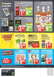 Cola Angebot im EDEKA Prospekt, gültig von 25.09.2023 bis 30.09.2023 Cola Angebot im aktuellen EDEKA Prospekt auf Seite 4