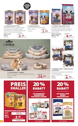 Dehner Garten-Center Hundefutter im Prospekt 