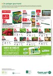 Plant De Tomates Plant De Tomates