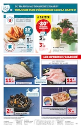 Offre Moules dans le catalogue Hyper U du moment à la page 49