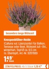 Knospenblüher-Heide  im aktuellen OBI Prospekt für 1,29 €