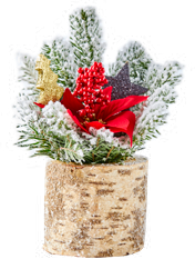 Réveillon De Noël dans le catalogue Colruyt Composition tronc et Poinsettia à 13,95 € en promo chez Colruyt